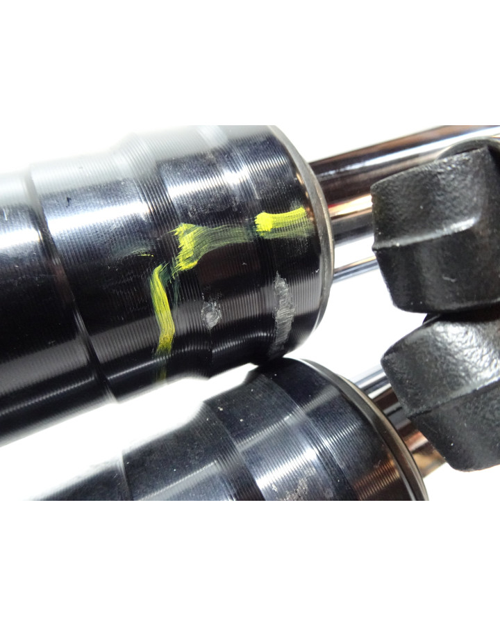 Harley-Davidson Sportster S 1250, gaffelben (par)