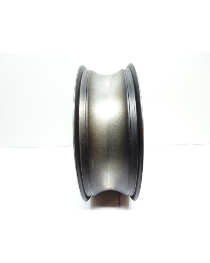 Harley-Davidson Sport Glide, bakfälg