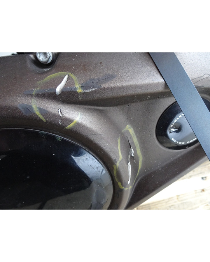 Harley-Davidson Sportster S 1250, motor