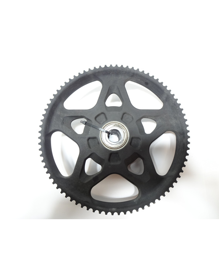 Harley-Davidson Sportster S 1250, bakdrev 80T