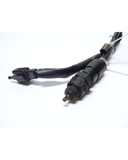 Triumph Daytona 675, bromsljuskontakt bak 2