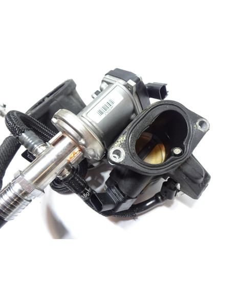 Harley-Davidson Sportster S 1250, gasspjäll/insprut