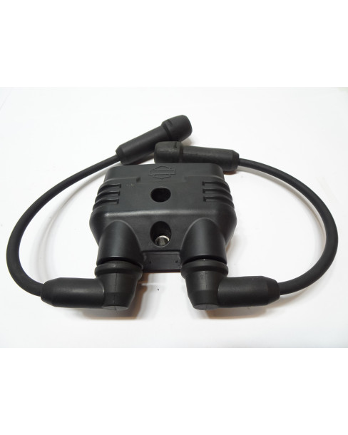 Harley-Davidson Sportster S 1250, tändspole 2