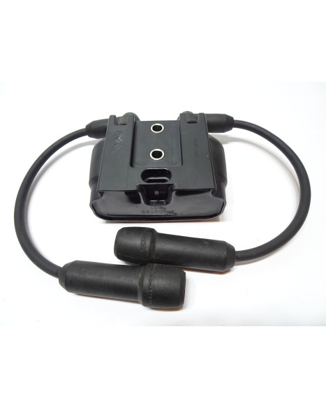 Harley-Davidson Sportster S 1250, tändspole