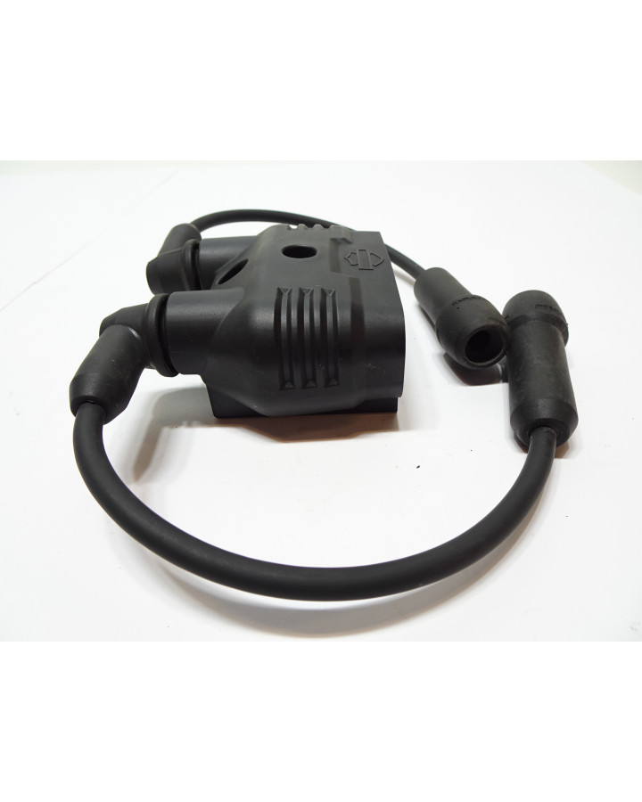 Harley-Davidson Sportster S 1250, tändspole