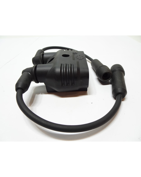 Harley-Davidson Sportster S 1250, tändspole