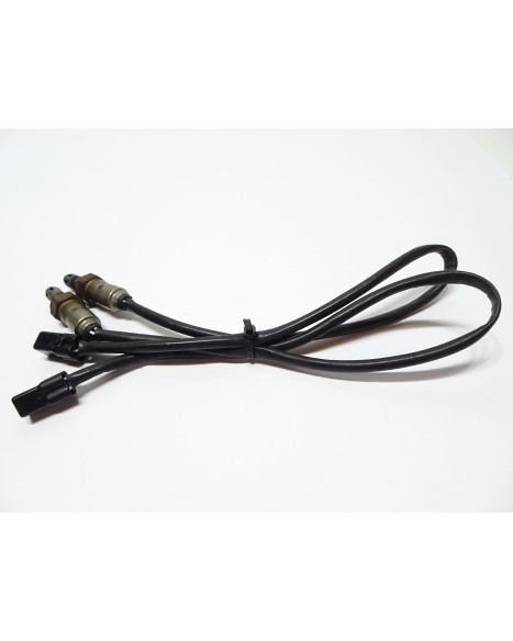 KTM 1290 Super Adventure S, lambdasond (par)