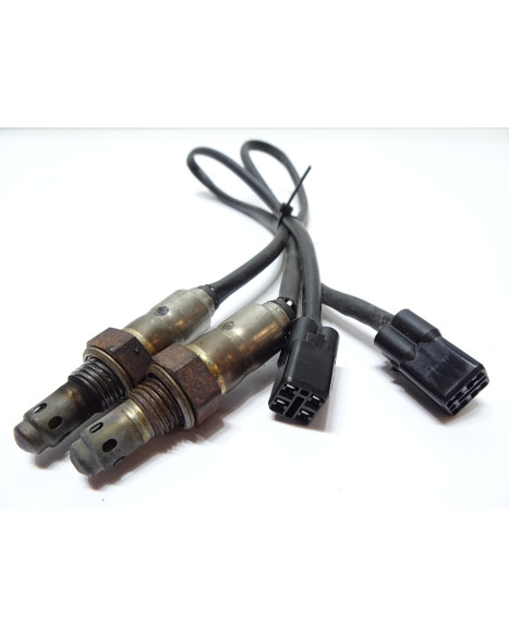 KTM 1290 Super Adventure S, lambdasond (par)