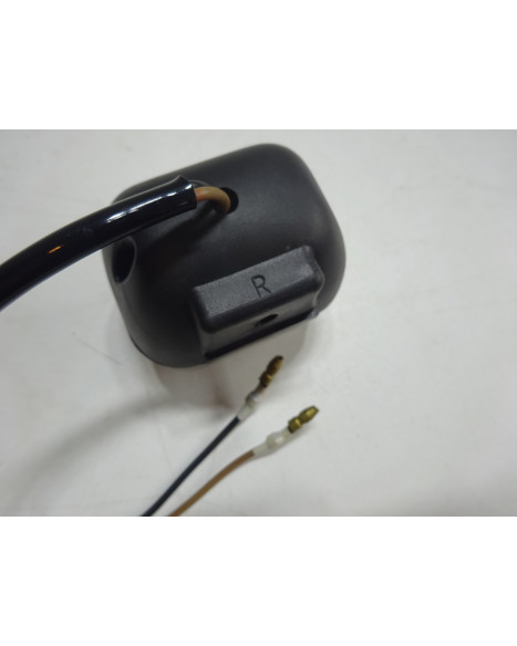 PGO Big Max, blinkers höger