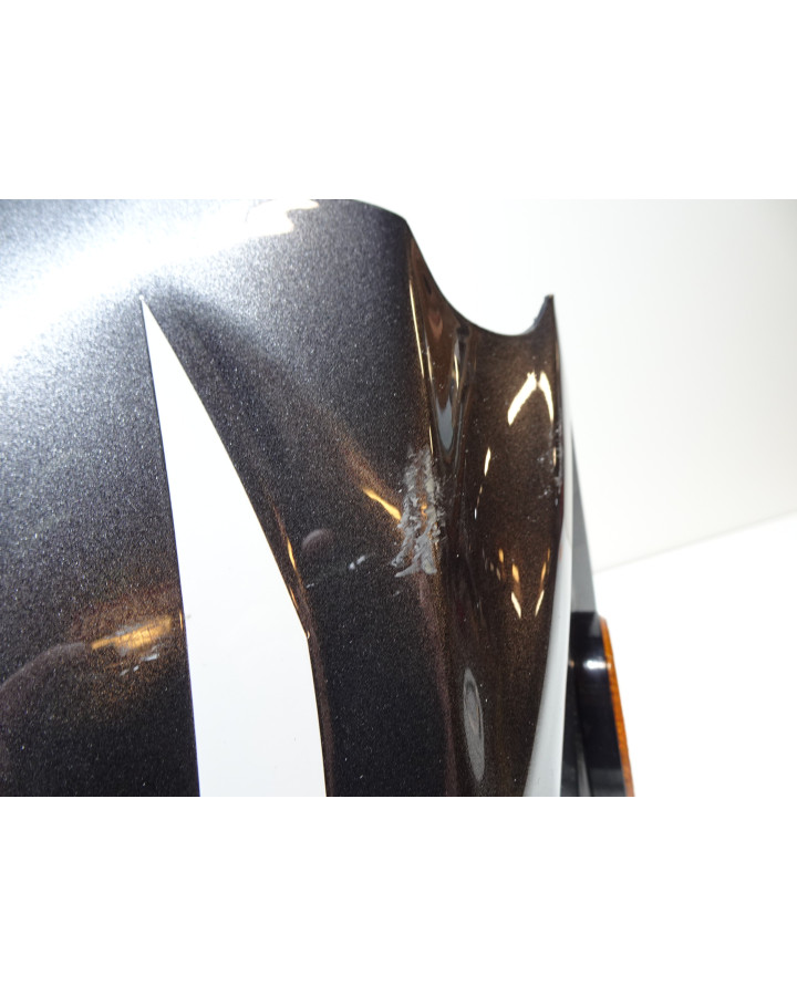 Znen Falcon 8, framskärm