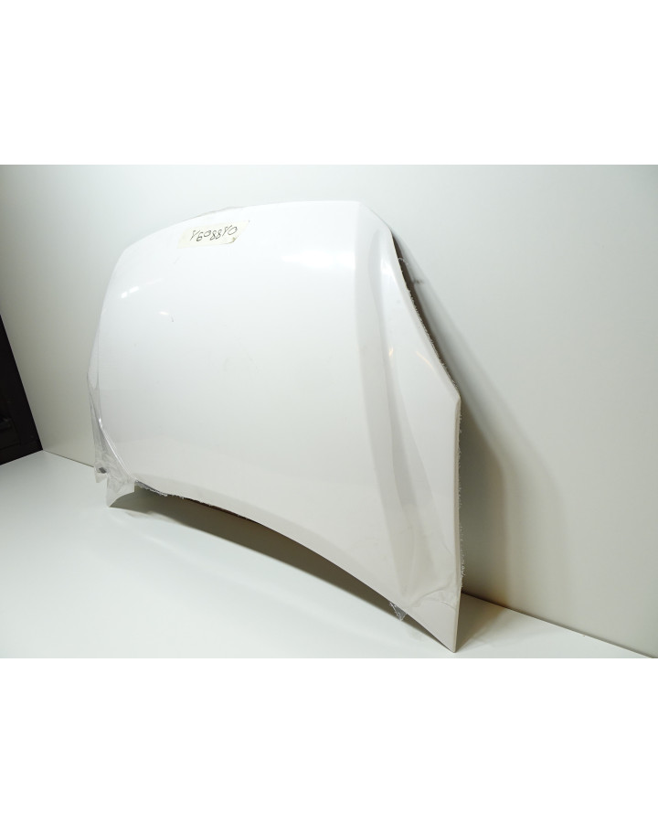 Ligier X-Too RS, motorhuv