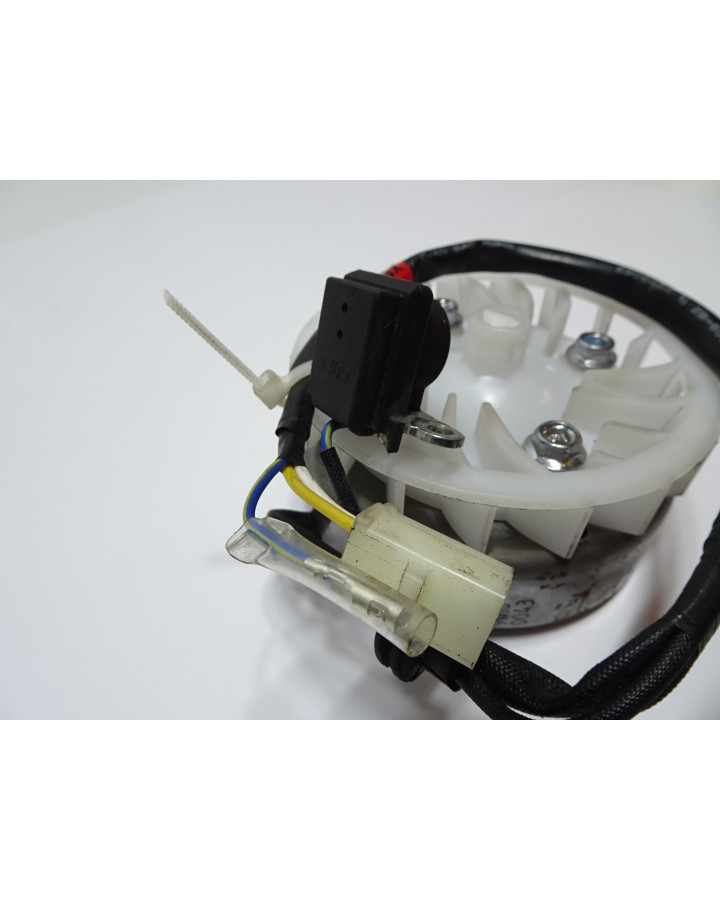 Peugeot Speedfight 4, tändplatta komplett