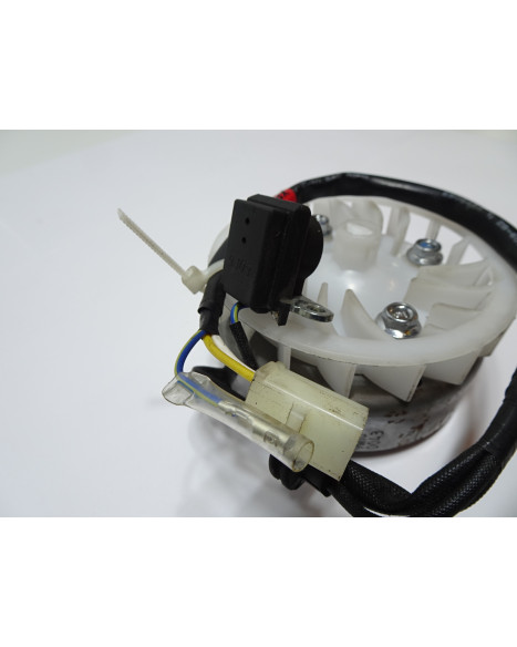 Peugeot Speedfight 4, tändplatta komplett