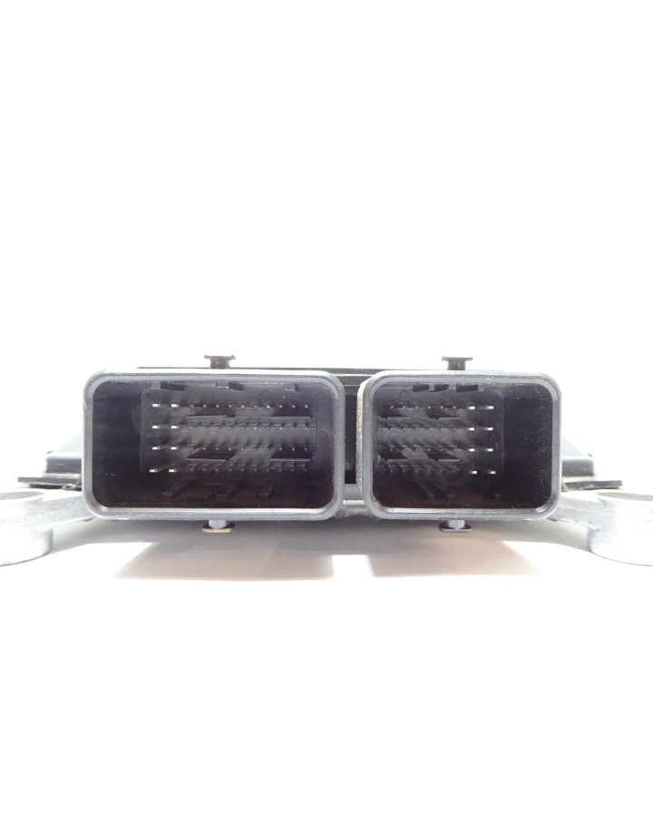 Ligier/Microcar, styrenhet