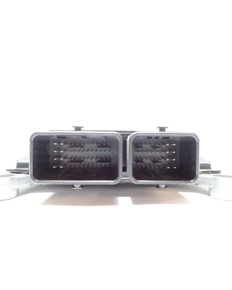 Ligier/Microcar, styrenhet