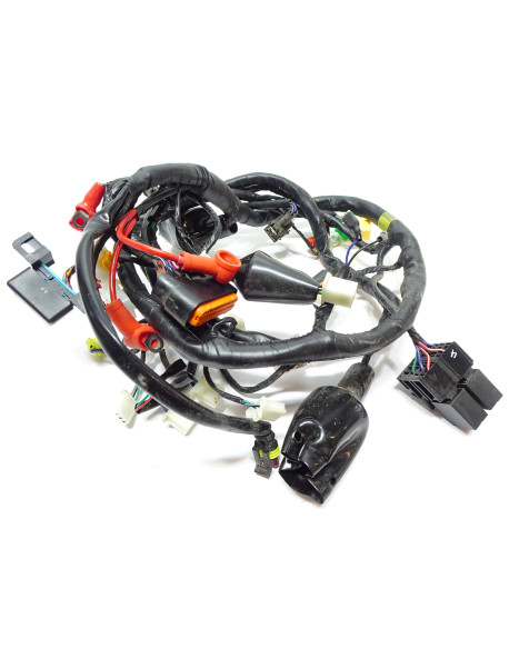 MotoCR Comet SP, kabelhärva