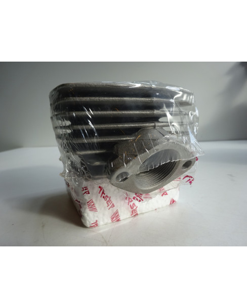 Cylinder Airsal, 49.3 cc 2