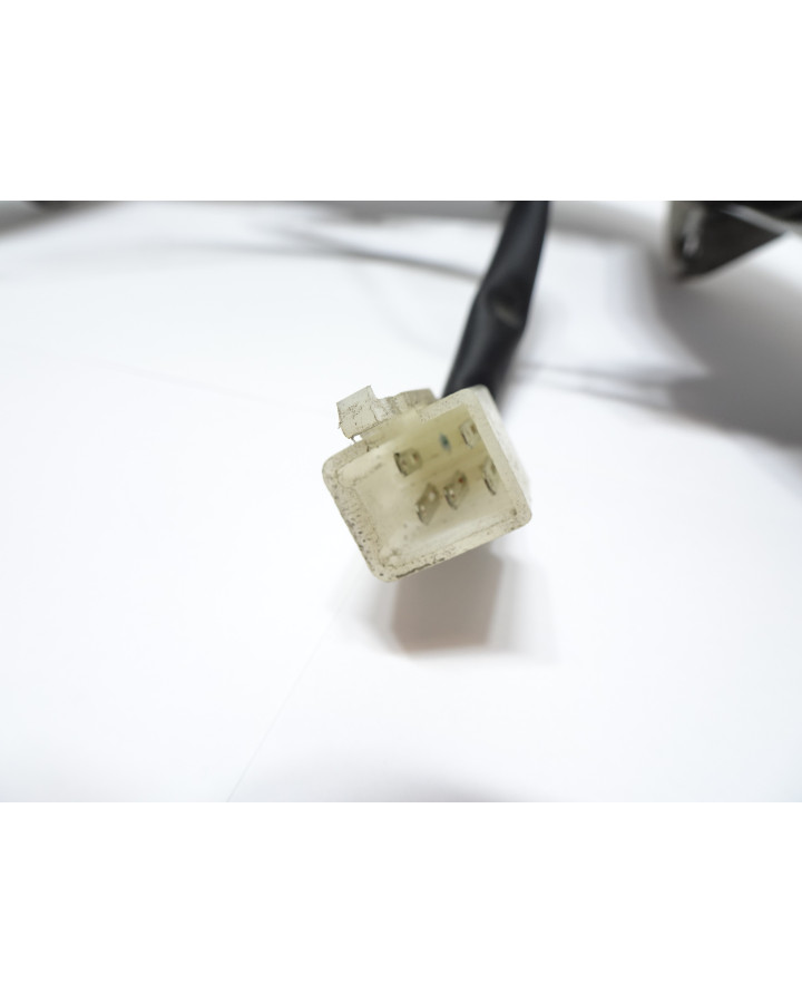 Vässla 1/2, baklykta