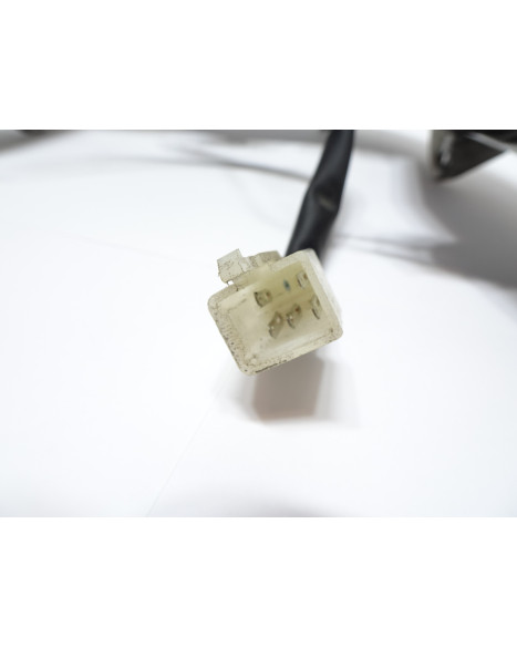 Vässla 1/2, baklykta