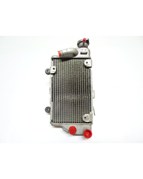 Honda CRF1000 Africa Twin, kylare höger