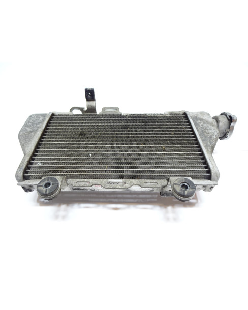 Honda CRF1000 Africa Twin, kylare höger 2