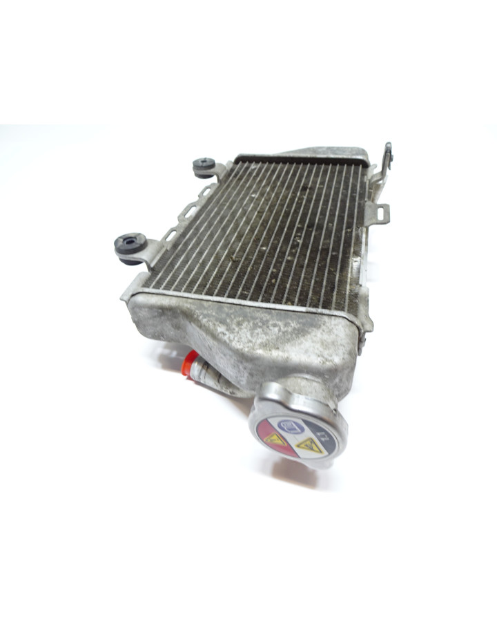 Honda CRF1000 Africa Twin, kylare höger