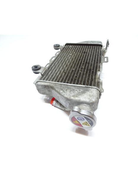 Honda CRF1000 Africa Twin, kylare höger