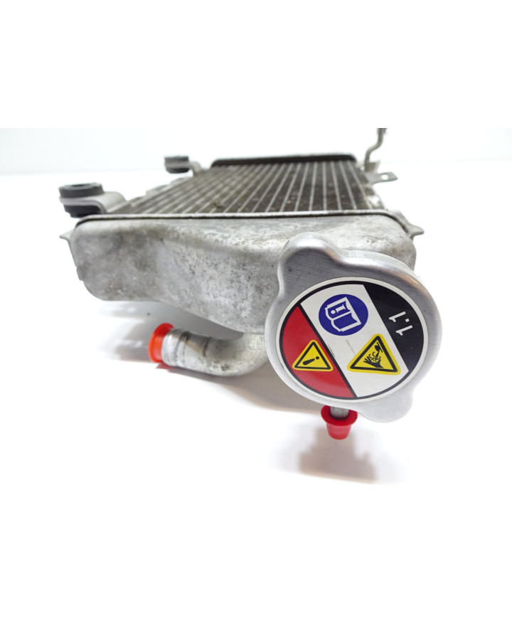 Honda CRF1000 Africa Twin, kylare höger