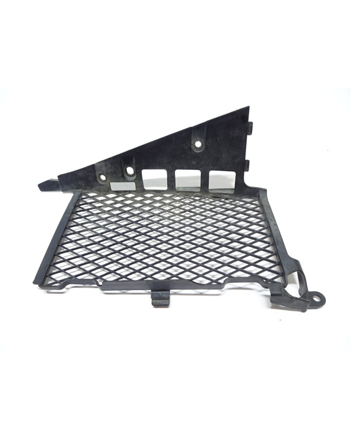 Honda CRF1000 Africa Twin, kylargaller höger