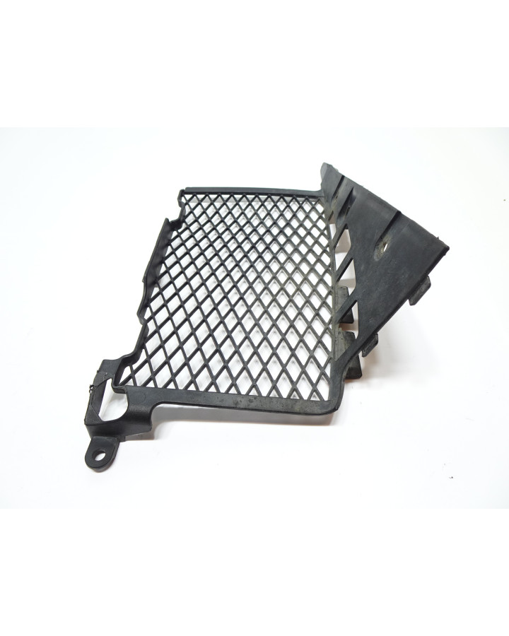 Honda CRF1000 Africa Twin, kylargaller höger