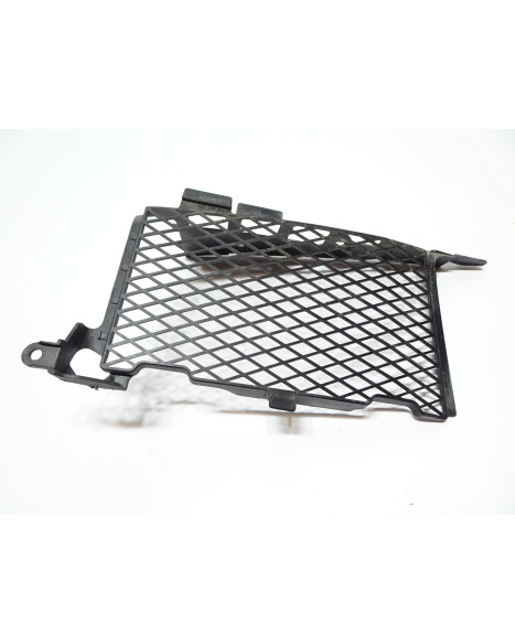 Honda CRF1000 Africa Twin, kylargaller höger