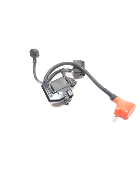 Honda CRF1000 Africa Twin, startrelä