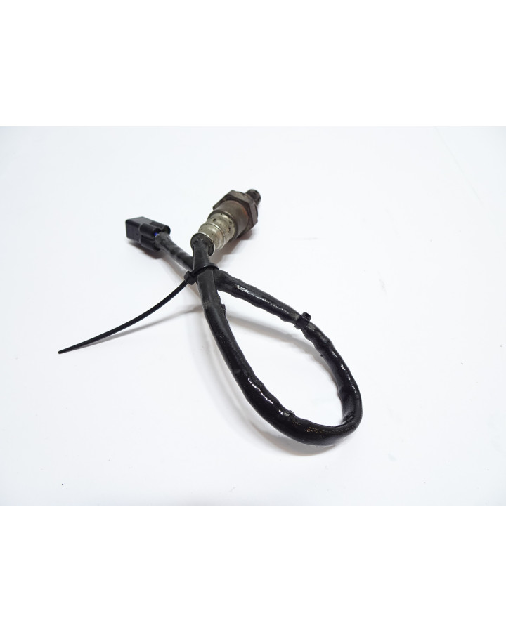 Yamaha FJR 1300, lambdasond