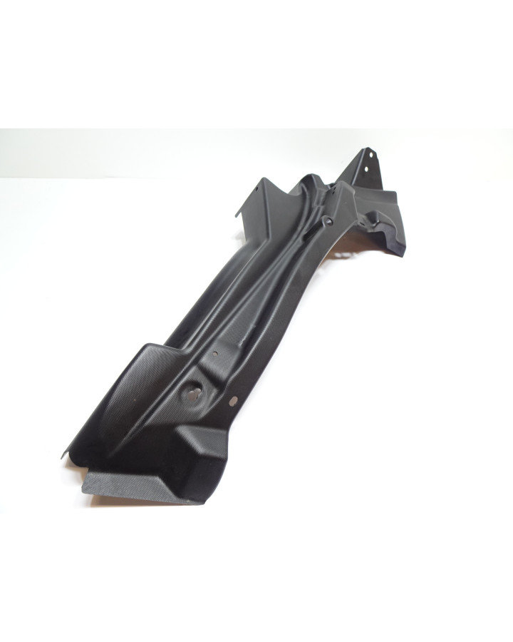 Ligier JS50, täckkåpa motorrum vänster