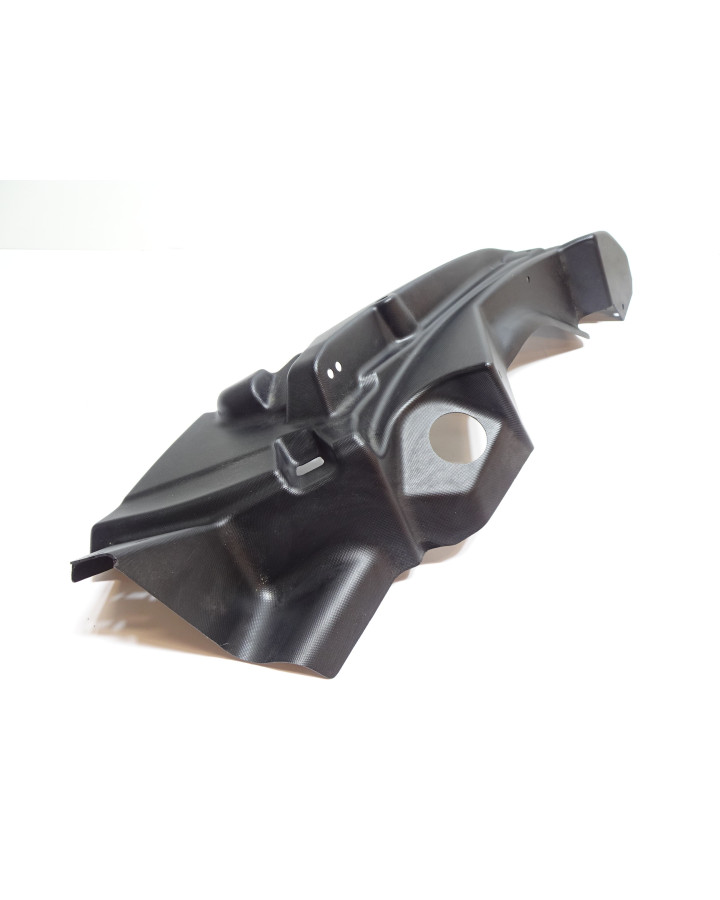 Ligier JS50, täckkåpa motorrum vänster