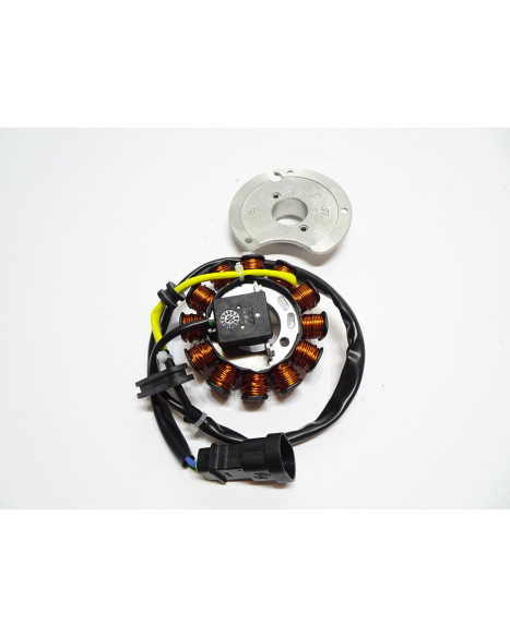 Derbi Senda/Aprilia SX50/Gilera SMT, tändplatta