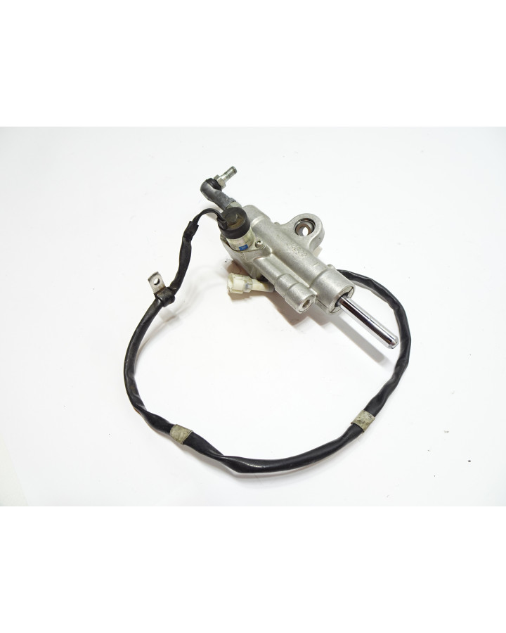 Yamaha YZF-R1, styrdämpare