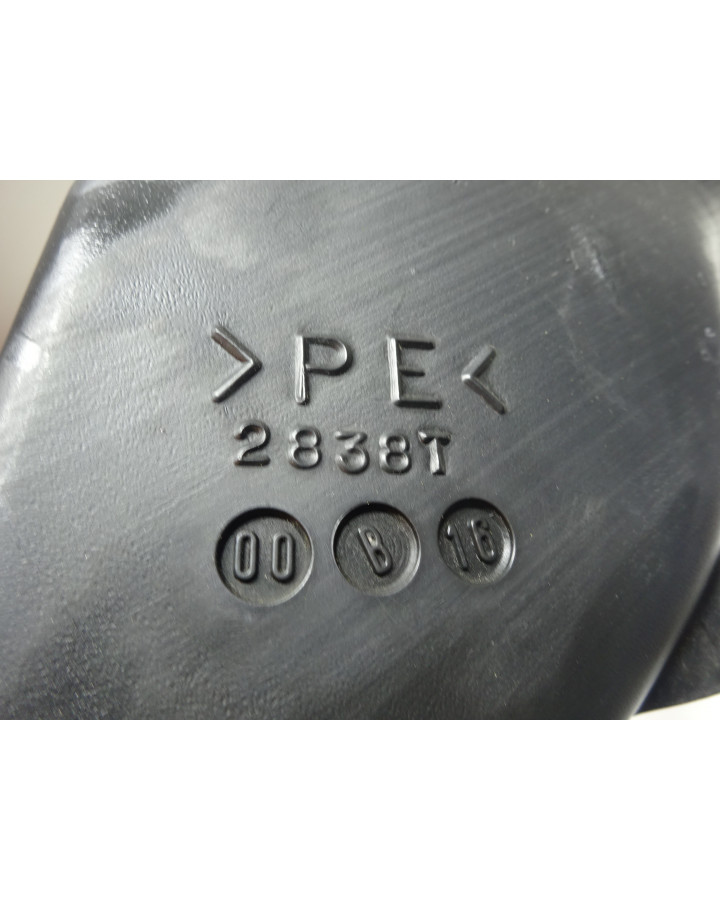 Yamaha YZF R6, luftintag