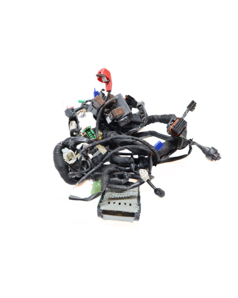 KTM 125 Duke, kabelhärva 2