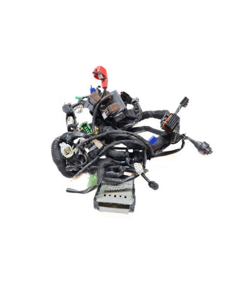 KTM 125 Duke, kabelhärva