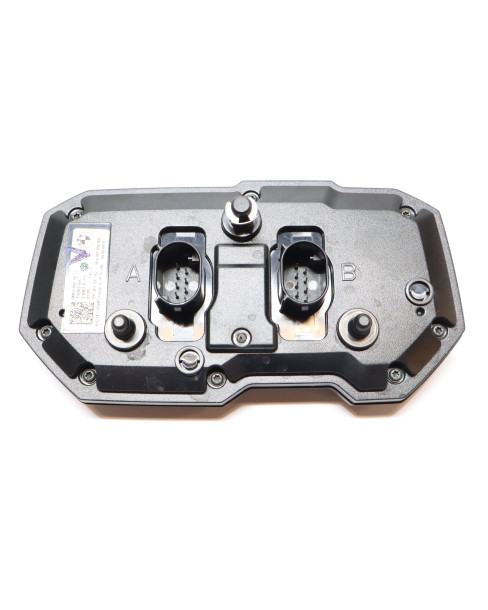 BMW G310R, hastighetsmätare 2