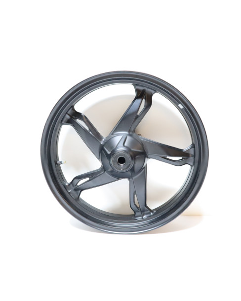 BMW G310R, framfälg