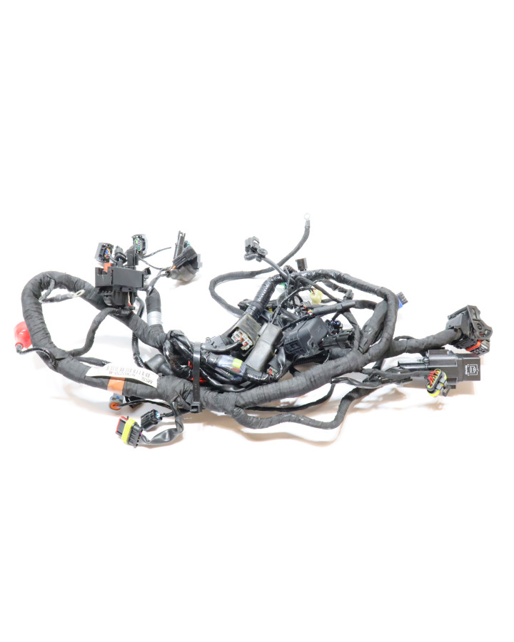 BMW G310R, kabelhärva