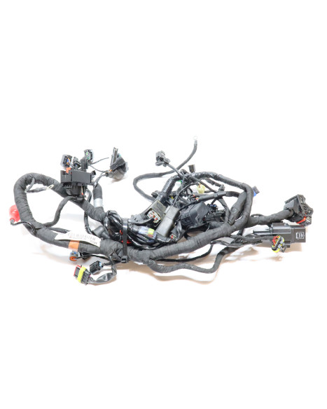 BMW G310R, kabelhärva