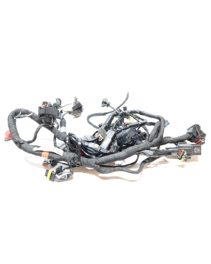 BMW G310R, kabelhärva