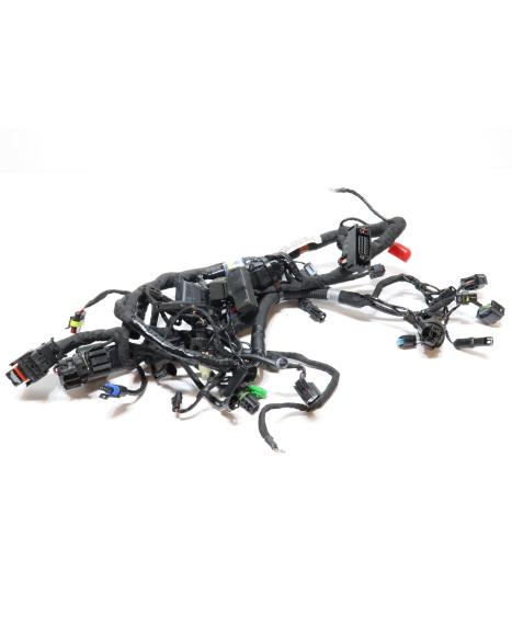 BMW G310R, kabelhärva