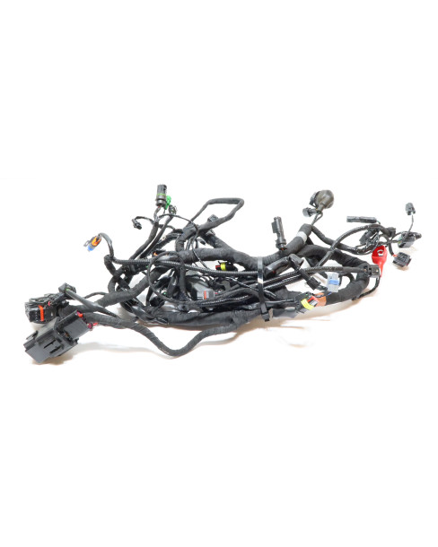 BMW G310R, kabelhärva