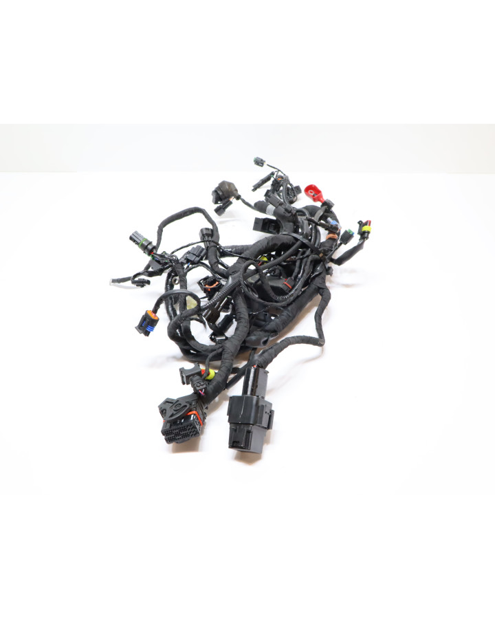 BMW G310R, kabelhärva