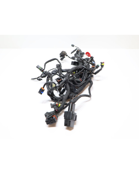 BMW G310R, kabelhärva