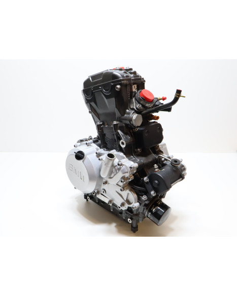 BMW G310R, motor